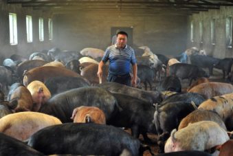 US-China Trade and Investment in Meat
