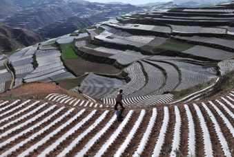 Redesigning Agricultural Credit Delivery in China