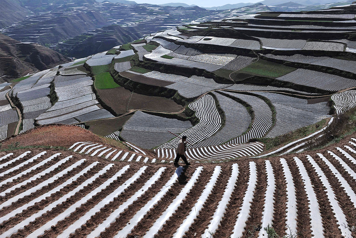 Redesigning Agricultural Credit Delivery in China