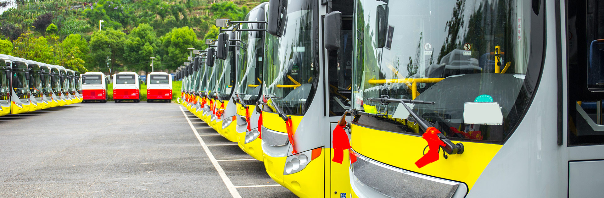 Waiting for Electric Buses: Competition and Complexity in the US Market