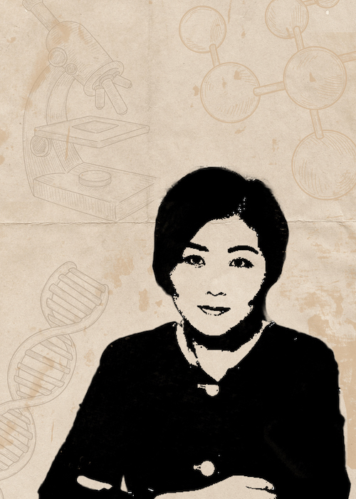 Yan Ning portrait